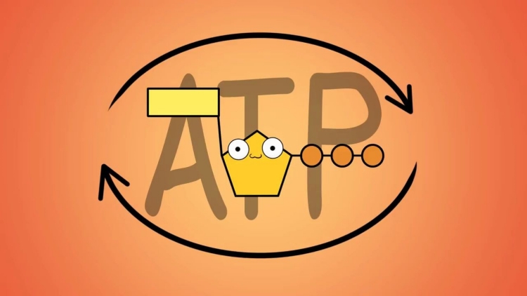 ATP快速熒光檢測儀是一種高效、準(zhǔn)確、易操作的設(shè)備