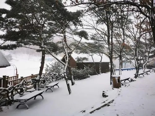 降雪或雨對病毒傳播產(chǎn)生的影響是復雜而多變的